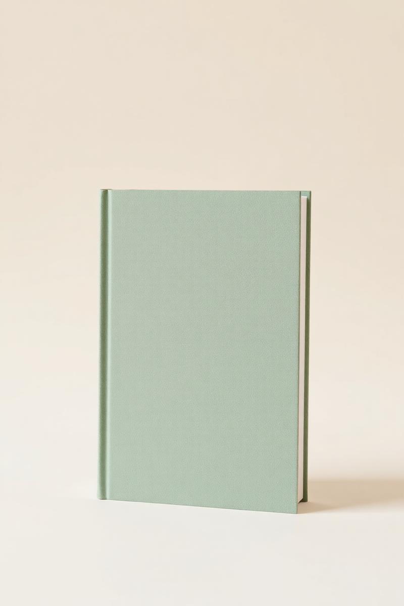 Cover of Placeholder Title (development) by Author to be confirmed